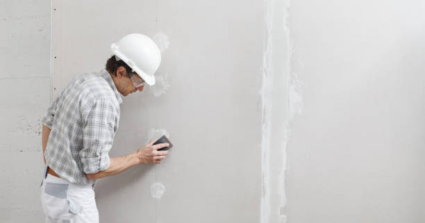 Best Drywall Texturing  in Clearwater, MN